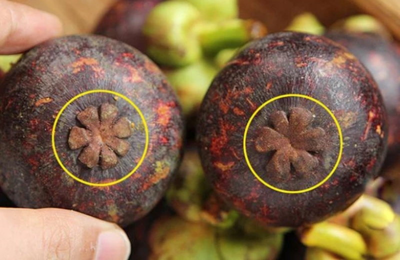 Hướng Dẫn Chọn Măng Cụt Chất Lượng