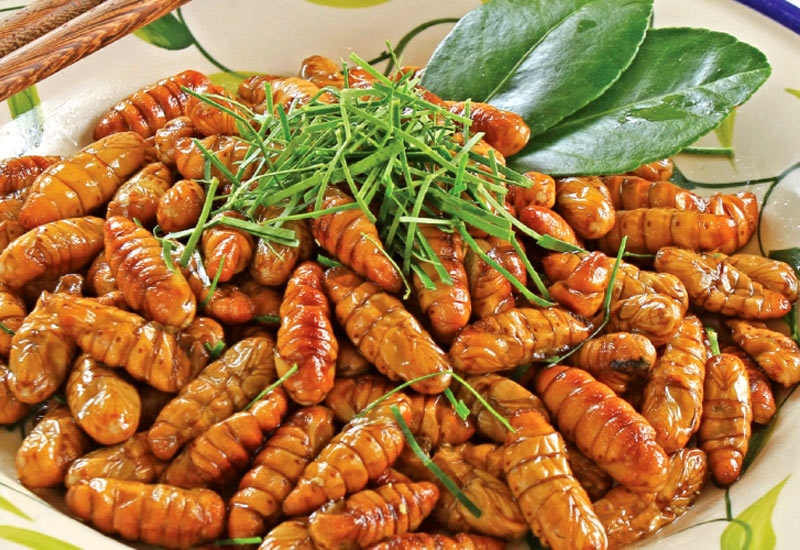 Lợi ích của việc chế biến và thưởng thức nhộng