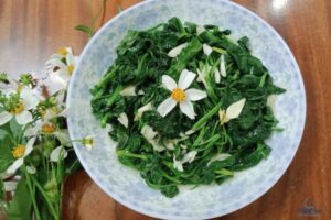 Lợi Ích Sức Khỏe của Rau Xuyến Chi