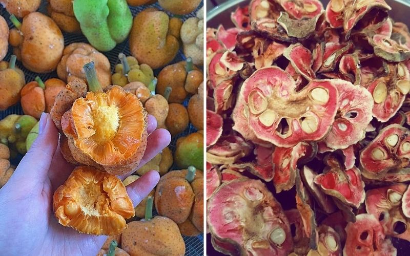 Công Dụng Của Quả Chay